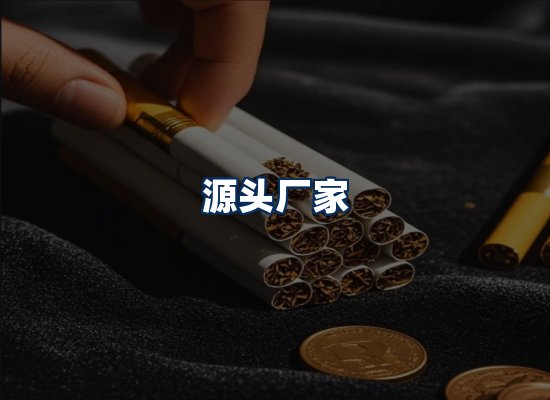 专业团队办公环境